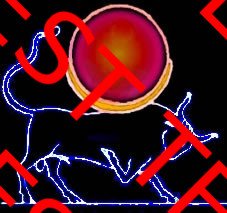 Apis bull with Crescent and Sun Dendara temple roof