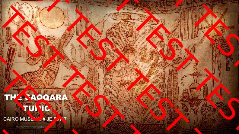 The Saqqara tunic Pleiades Tree of Life