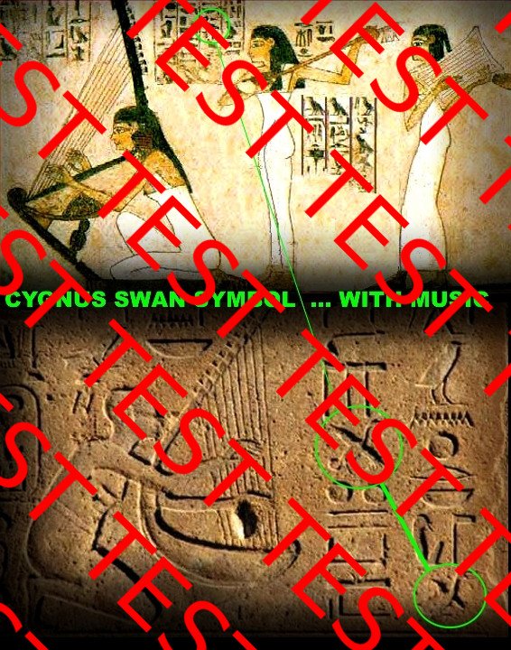 Cygnus mystery swan symbol