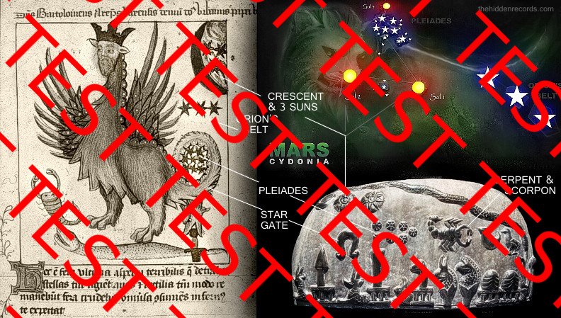 Dragon Three stars Serpent Scorpion