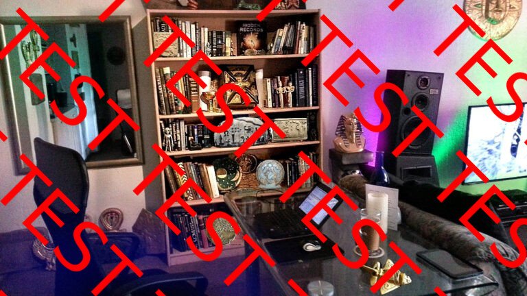 HERSCHEL ARTIFACT COLLECTION BOOKCASE DISPLAY