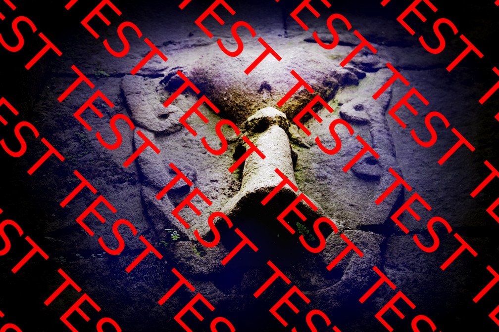 Holy Grail Wayne Herschel