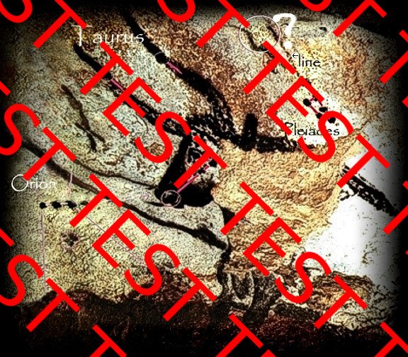 FOUR STARS OF ORION'S BELT