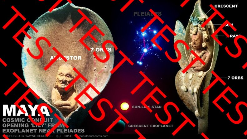 Maya Lily, interpreted as a cosmic wormhole to the Pleiades