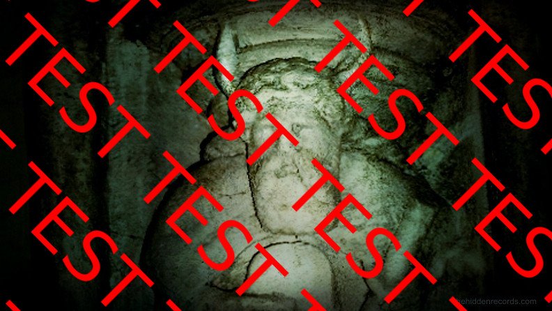 Rosslyn Moses Bull Horns