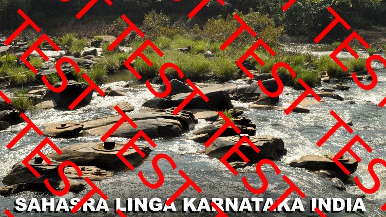 Sahasra Linga Karnataka India