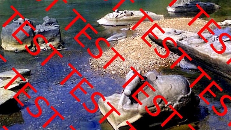 Sahasralinga Karnataka India lingas braham bulls interpretation