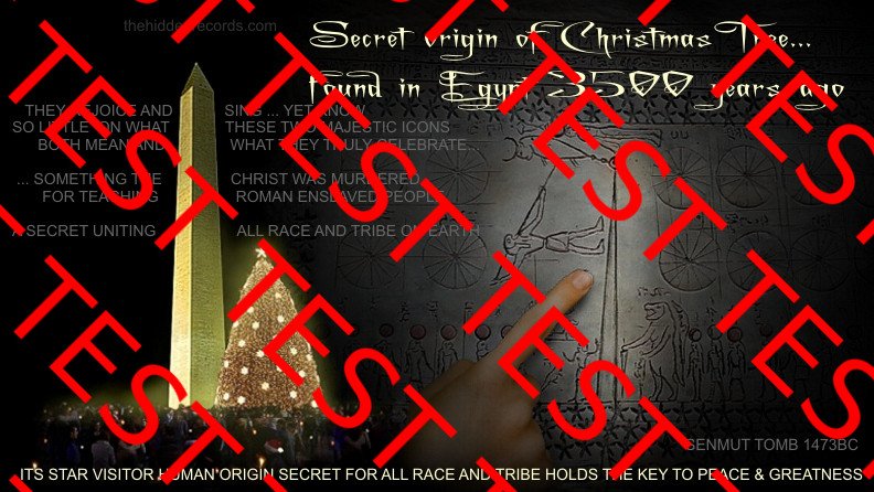 secret of the Christmas tree in Egypt