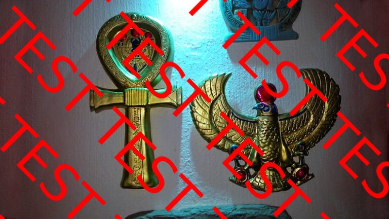 HERSCHEL ARTIFACT COLLECTION WALL DISPLAY