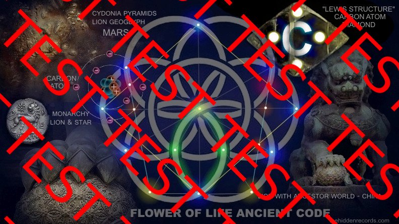 World Flag - Vitruvian Man